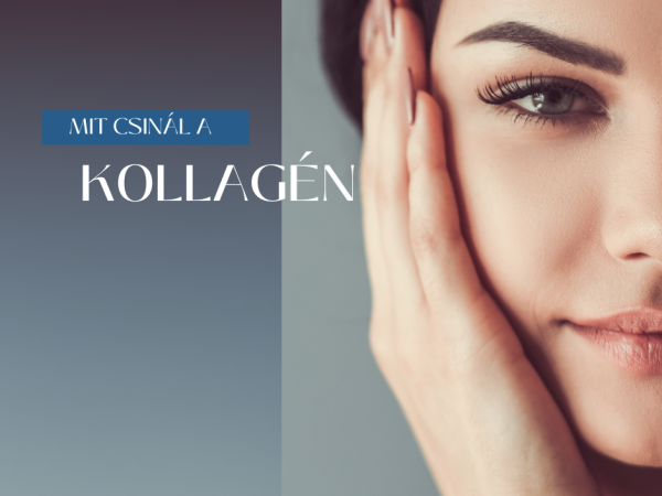 Kollagén a bőrben